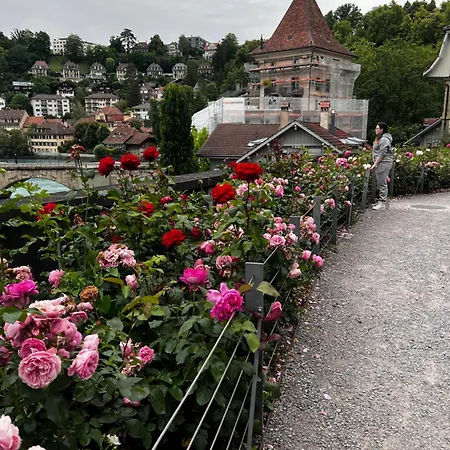 In - Relax Bern