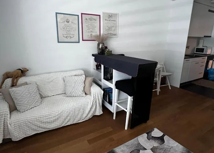 Apartman In - Relax Bern